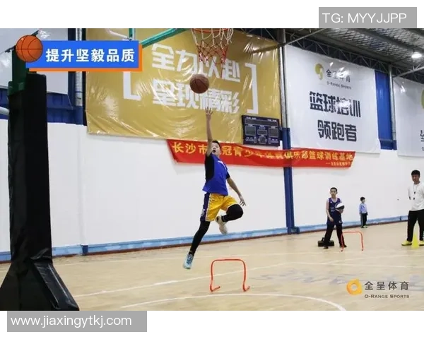 幼儿园篮球场规则指南让孩子们快乐安全地享受篮球运动乐趣